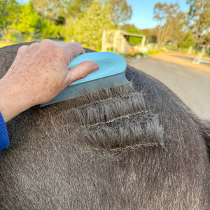 Rubber Horse Hair Remover