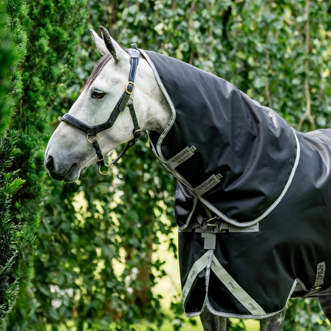 Amigo-1200-XL-Black-neck