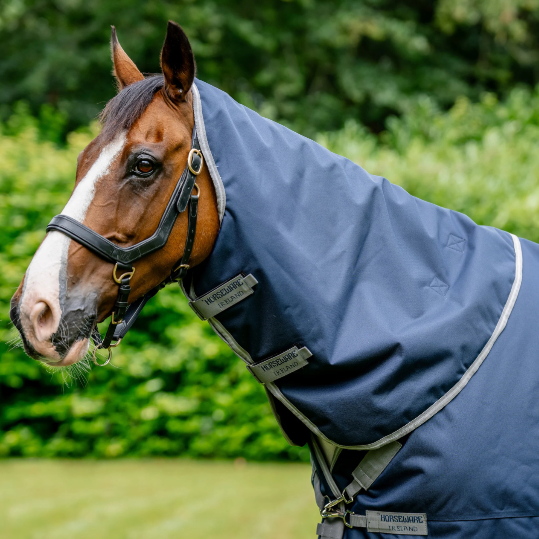 Amigo-1200-XL-Navy-neck