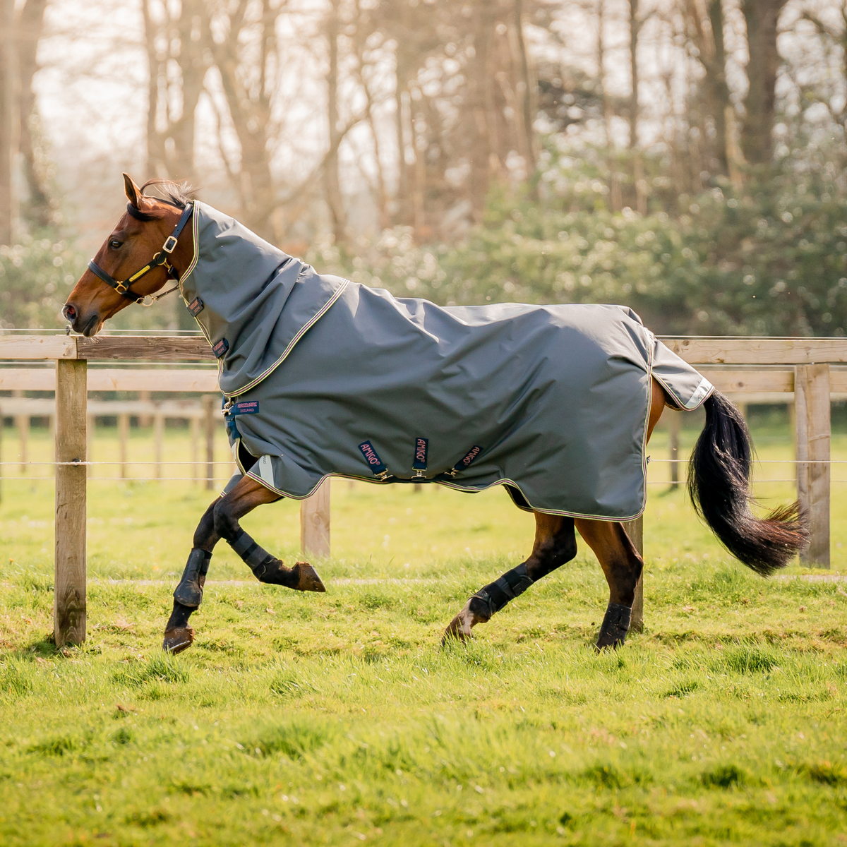 Amigo Bravo 12 Plus Turnout Lite