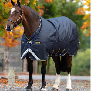 Amigo Bravo 12 XL Medium