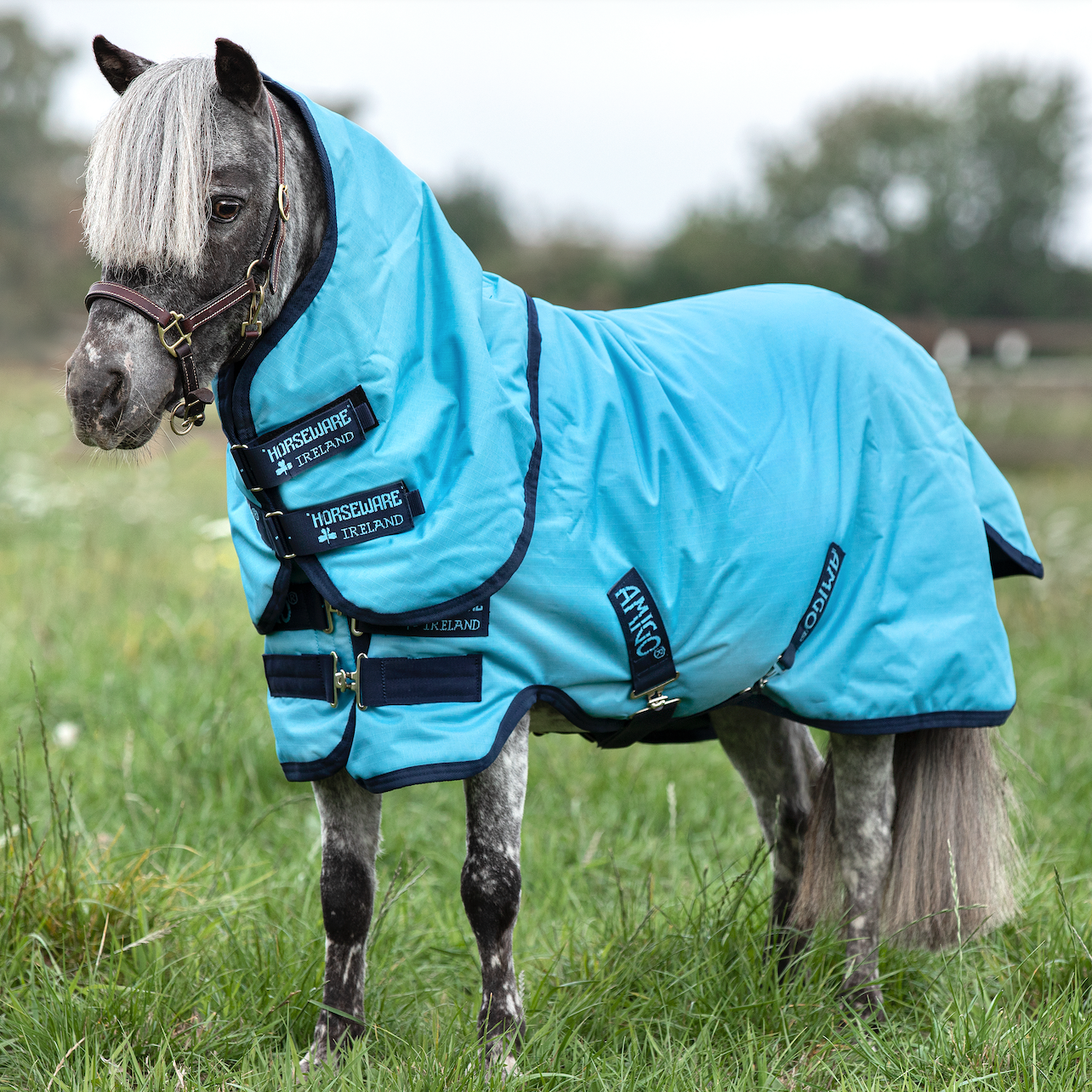 Amigo-Hero-6-Petite-Plus-Lite-The-Horse-Rug-Whisperer