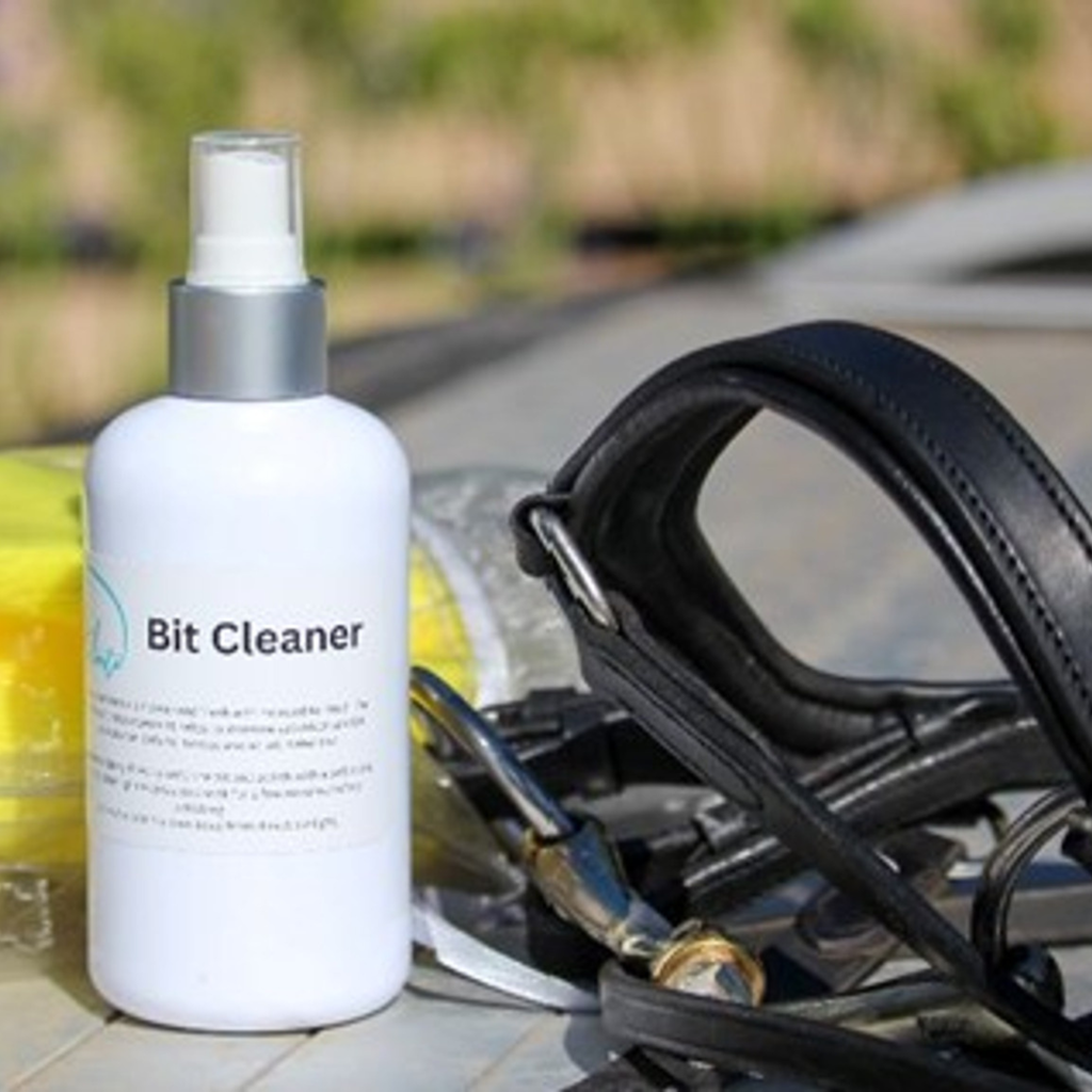 Bit-Cleaner-The-Horse-Rug-Whisperer