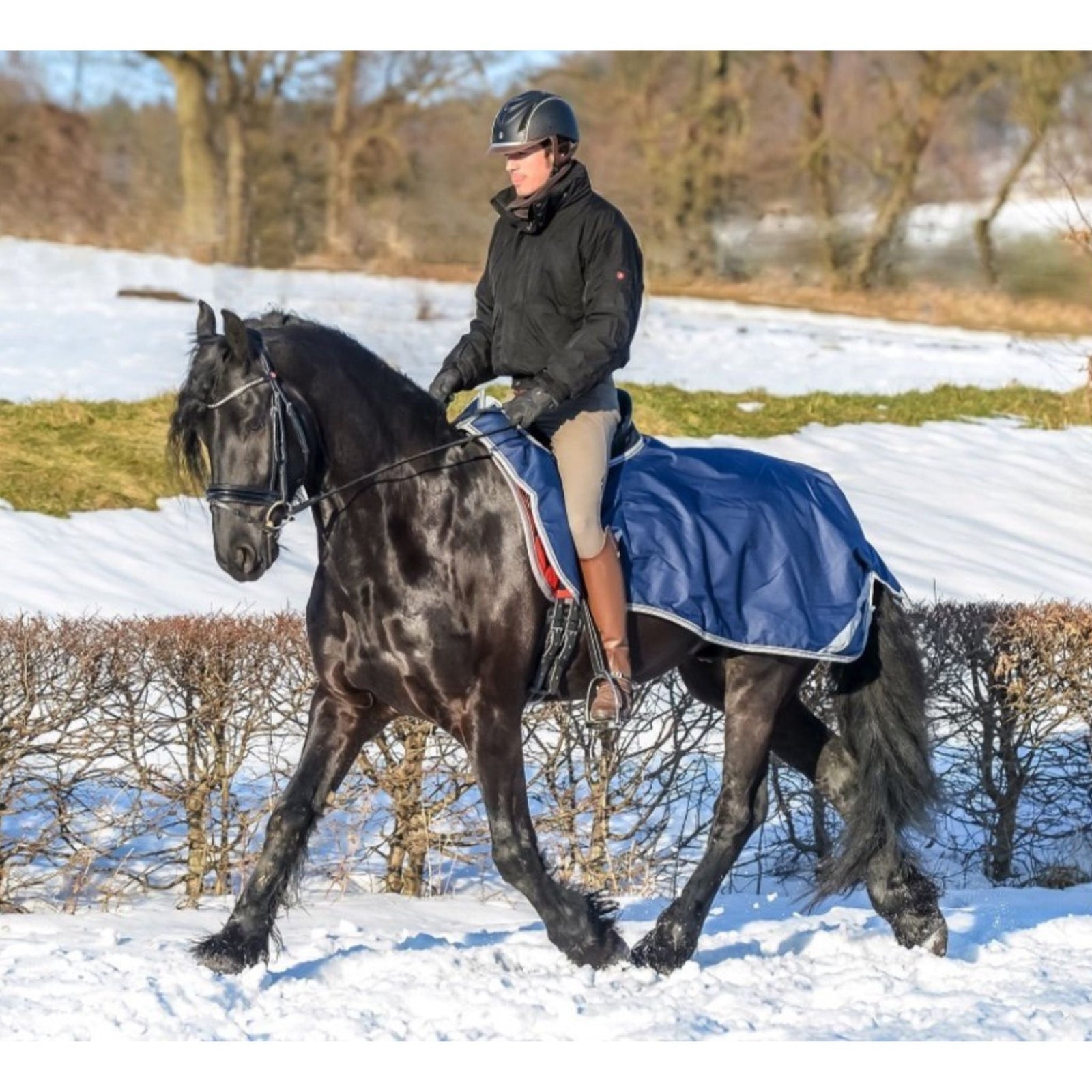 Horse wearing black riding rug with reflective silver stripes and yellow trim.