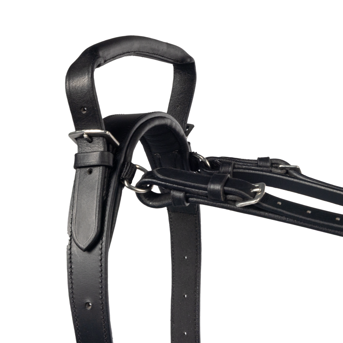 Close-up of a black leather handle on a white background