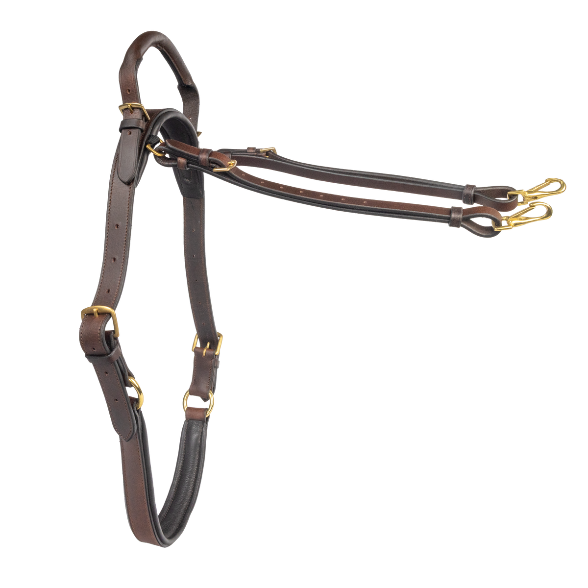 Brown leather neck strap with gold hardware on a white background