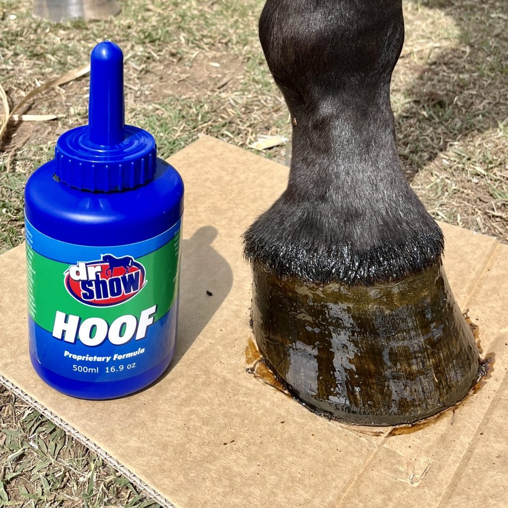bottle of hoof oil and horse's hoof