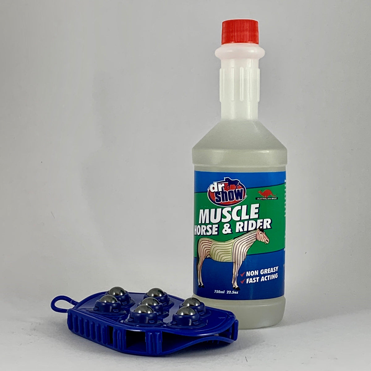 Dr Show Muscle Horse & Rider