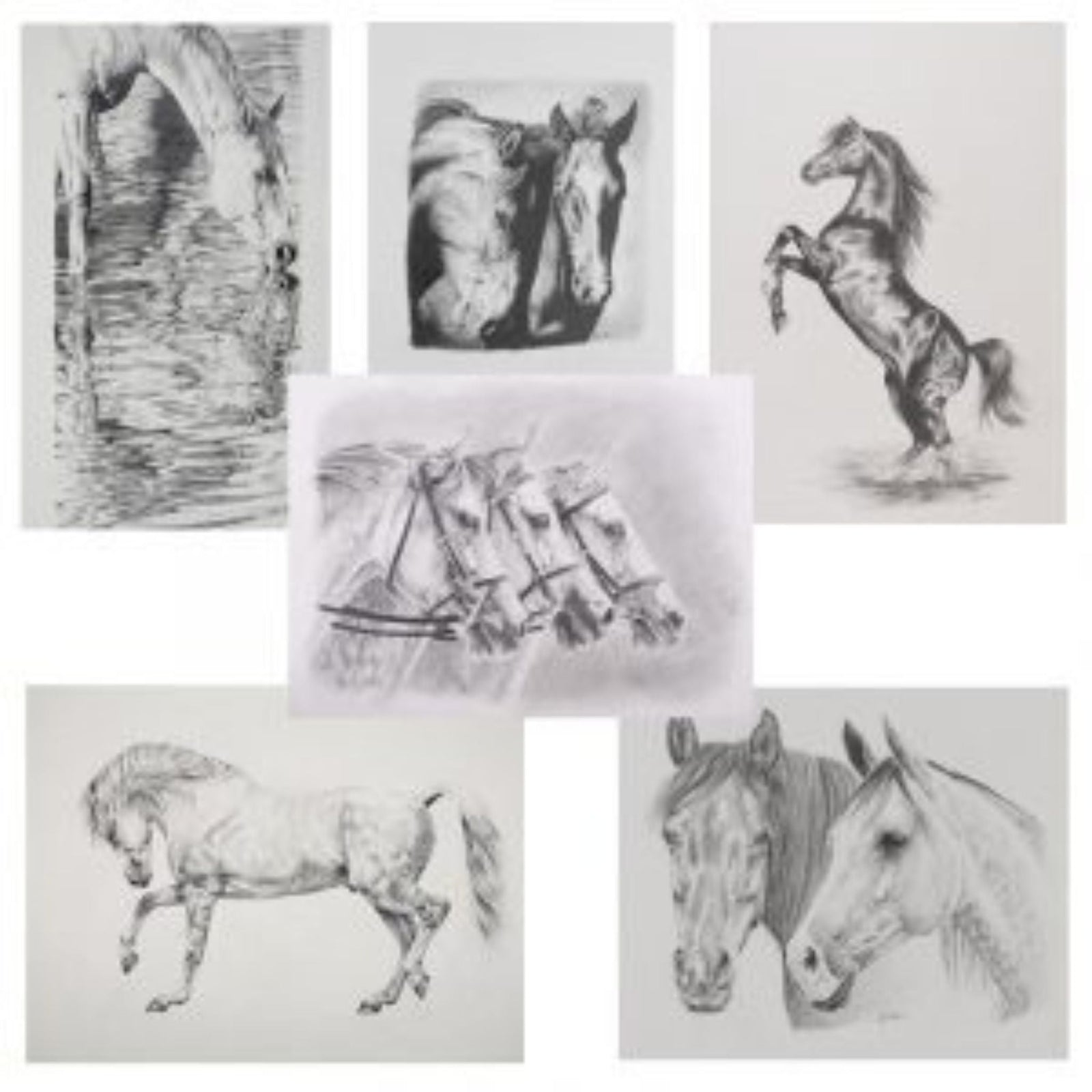 Greeting-Cards-Set-1-The-Horse-Rug-Whisperer_cf5cbca7-8052-4aed-b832-e4f37581e637