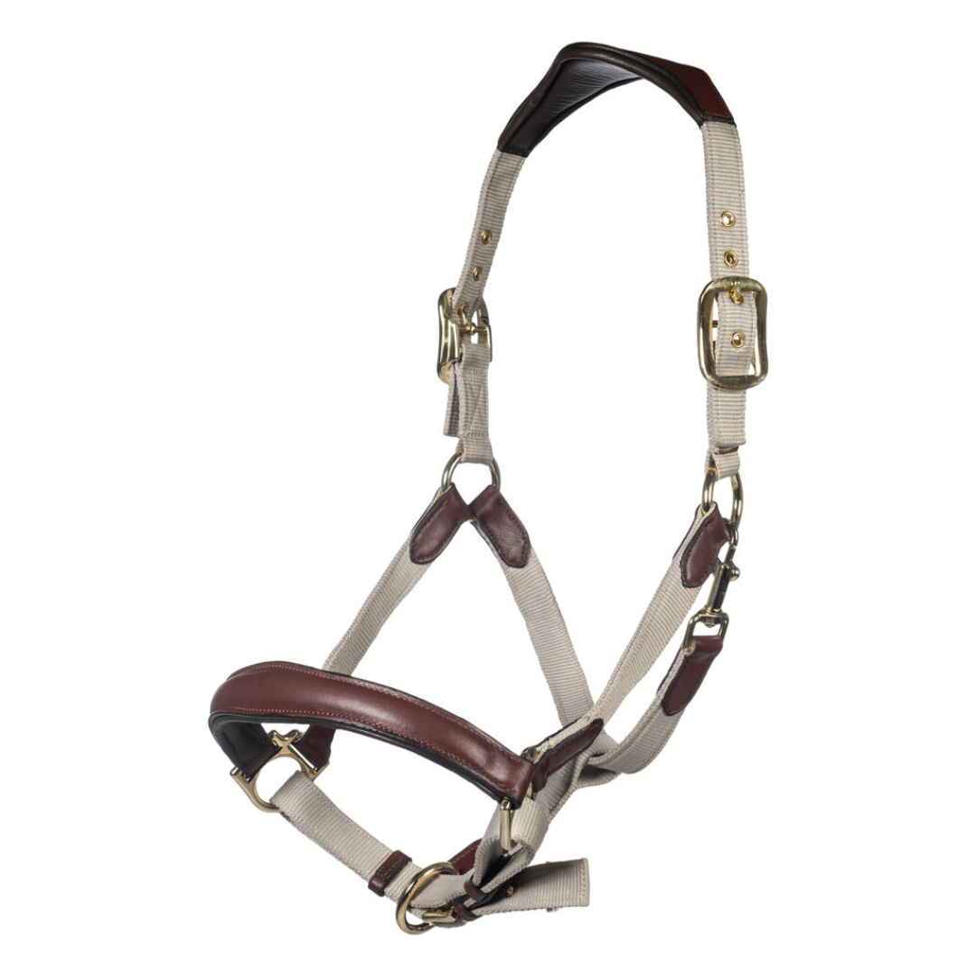 Luna Leather and Webbing Halter