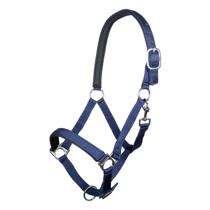 Padded Webbing Halter