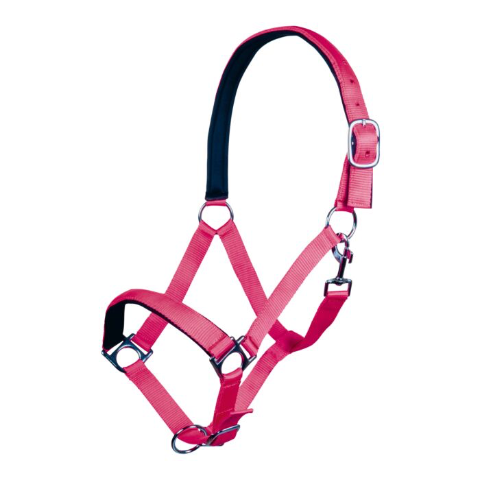 Padded Webbing Halter