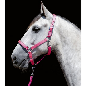 Padded Webbing Halter