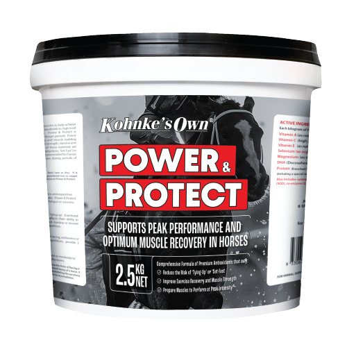 Power and Protect