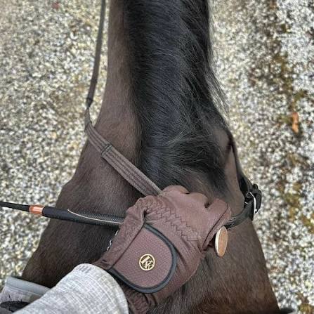 Premium Show Gloves