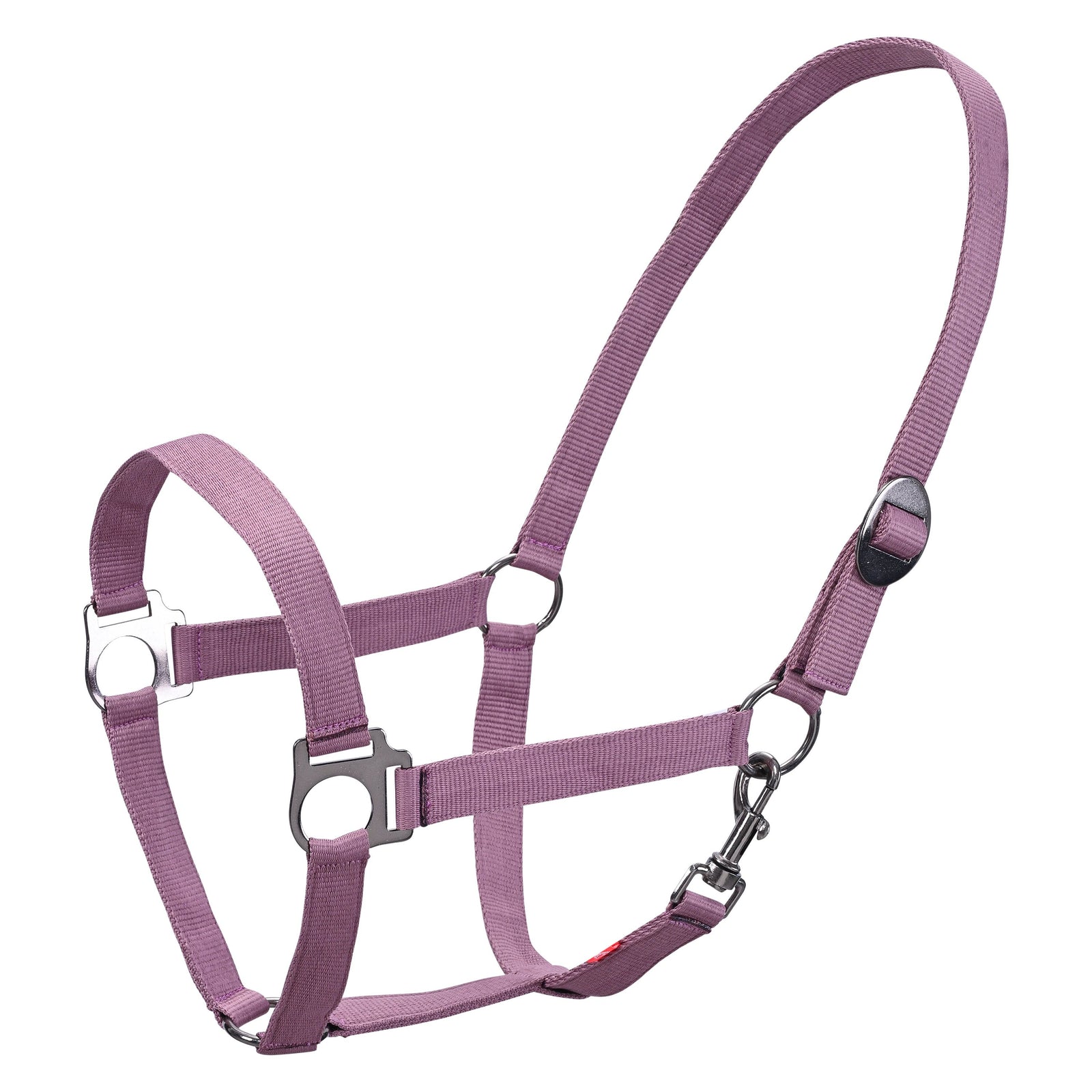 MauveHeadcollar