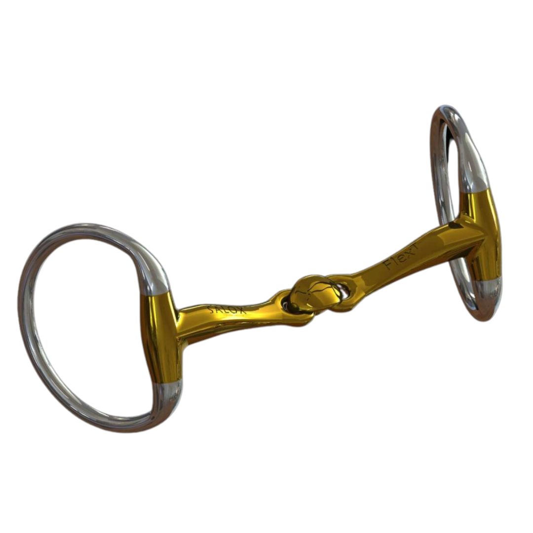 silver and gold horse bit