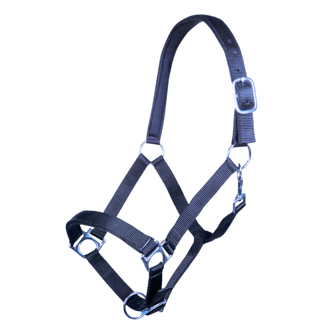 Padded-Warmblood-Halter-Navy