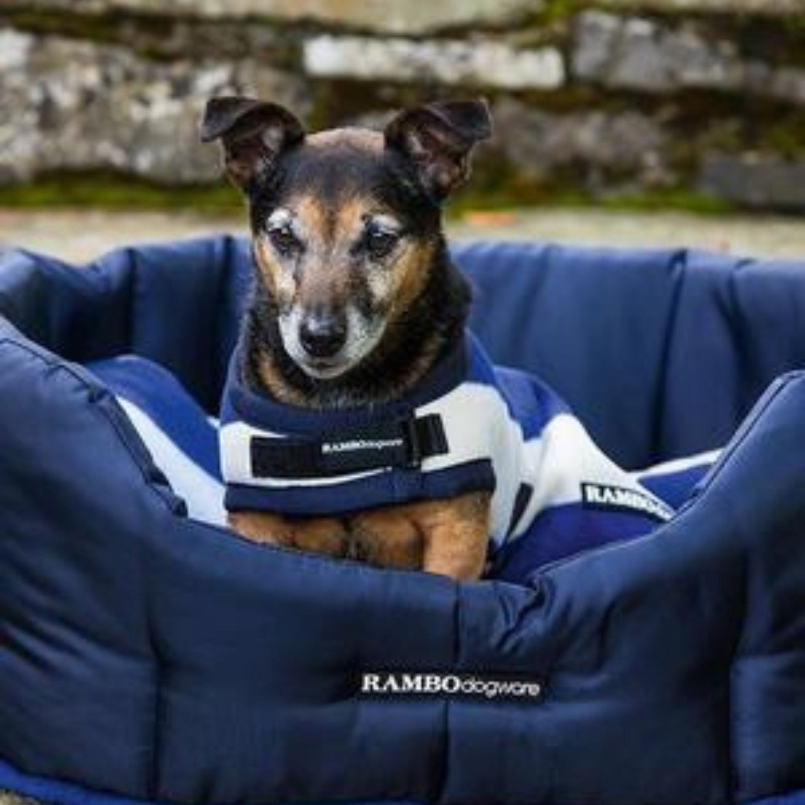 Light blue, royal blue and cream fleece dog rug with black binding.