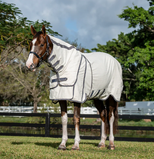 Rambo Optimo Summer Sheet