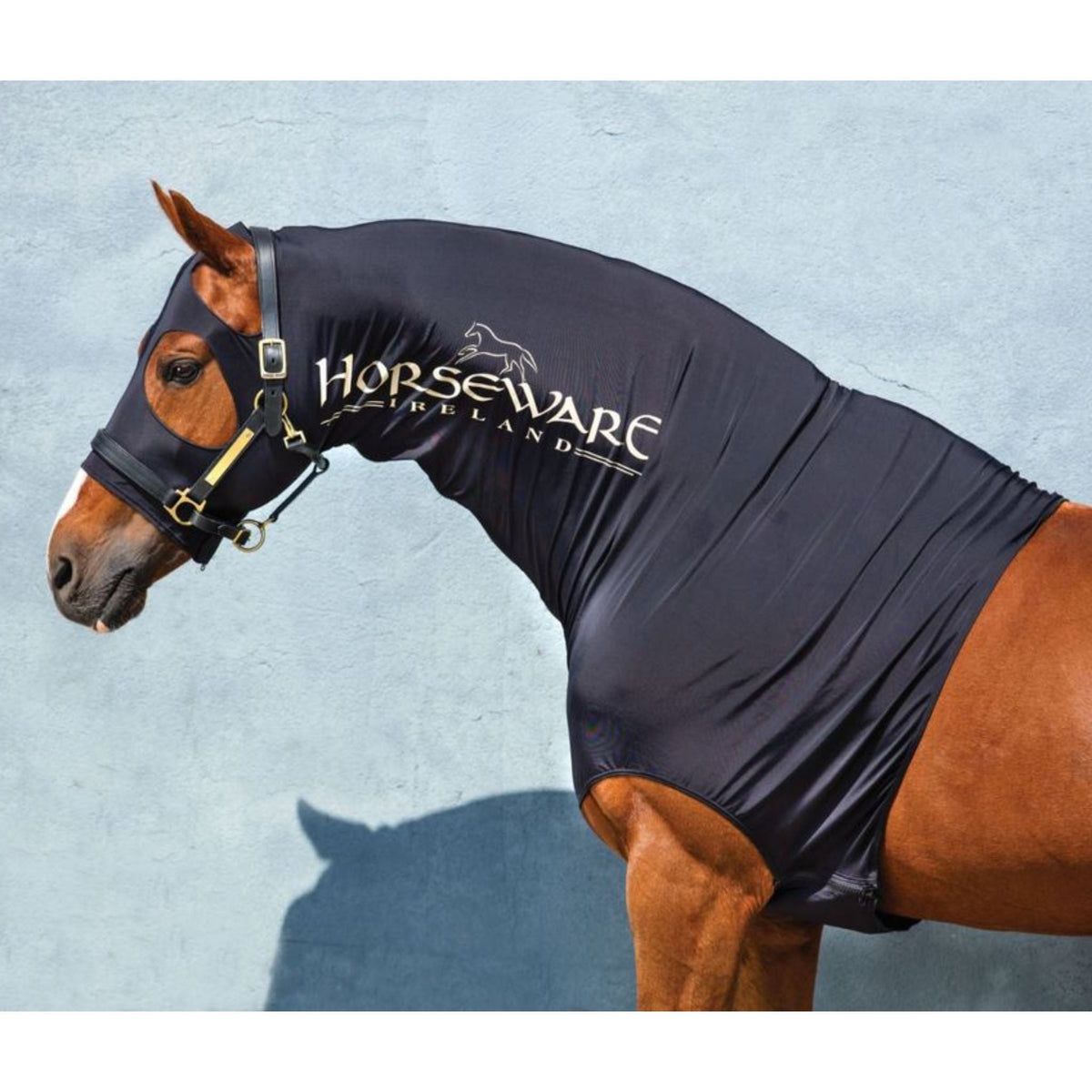 Black slinky hood with the horseware logo ion the neck.