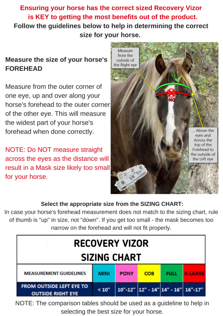 Equivizor Recovery Vizor Mesh Overlay