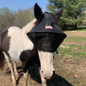 Equivizor Solar Veil