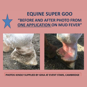 Equine Super Goo - topical cream