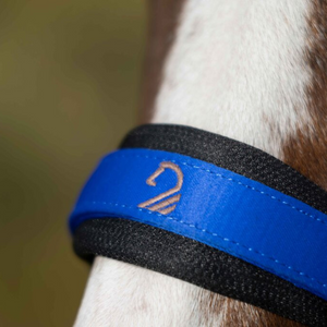 Amalfi Padded Webbing Halter