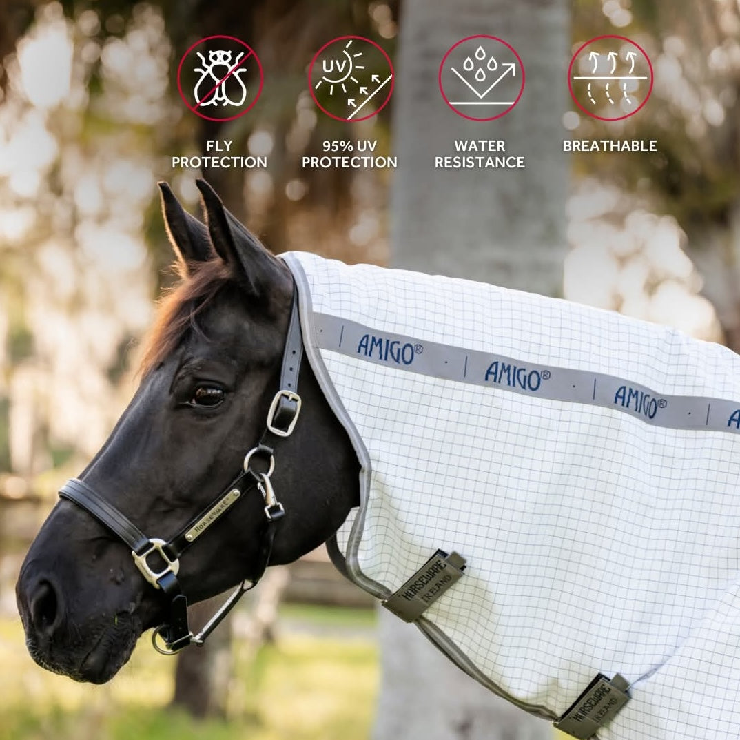 A black horse standing in a grassy outdoor paddock wearing a white summer horse fly rug with a matching neck cover and dark straps.