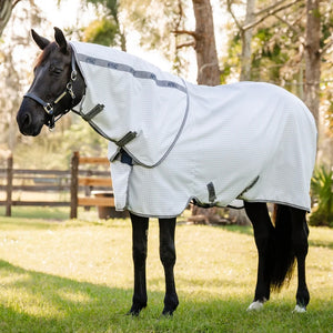 Amigo Summer Sheet Plus