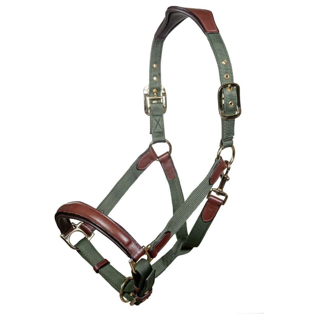 luna-hunter-halter_d9038c07-7221-4adc-b71a-31acf009c717