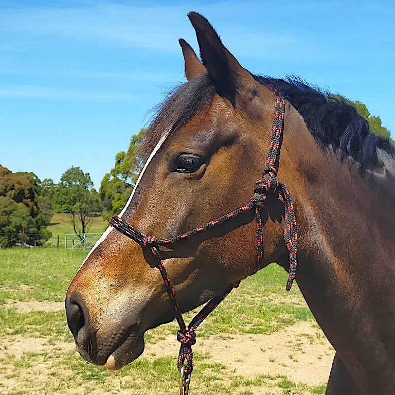 Rope halters - Titanium Saddlery